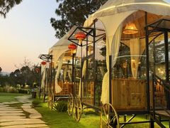 -松临·铁板烧&Omakase(神农店)