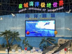 -泉城欧乐堡海洋极地世界