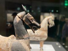 -甘肃省博物馆