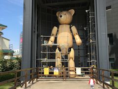 -济州岛泰迪熊博物馆