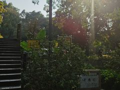 -晓港公园