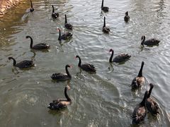 -长白岛森林公园