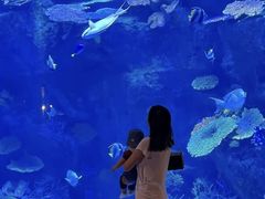 -暹罗海洋世界