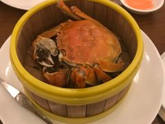 -凯菲厅海鲜姿造·海鲜自助·帝王蟹·龙虾(成都群光君悦酒店)