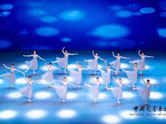 -中央芭蕾舞团·中芭艺蕾(酒仙桥明星校区)