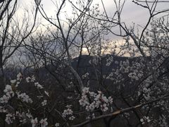 -香山公园