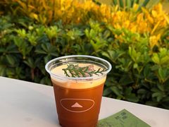 -SAANCI山池咖啡(海上世界文化艺术中心店)