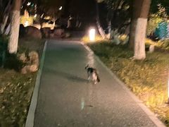 -南通濠河风景名胜区