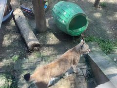 -青藏高原野生动物园