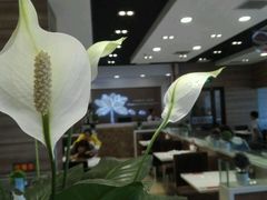 -嘉和一品粥(首经贸店)