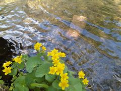 -本溪老边沟风景区