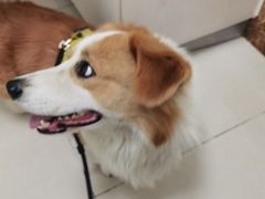 -美联众合24小时·皮肤科·外科·全科诊疗中心(华苑分院)