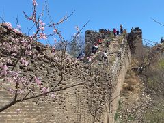 -蟠龙山长城景区