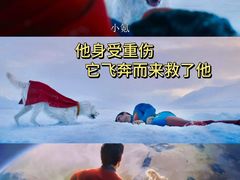 -佳兆业国际影城(惠州IMAX店)