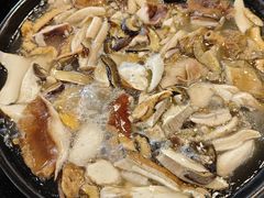 时令野生菌-草墩罗非鱼庄•野生菌•腊排骨(七星街上段店)