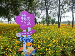 -江苏三台山国家森林公园