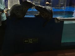 -苏州海洋馆