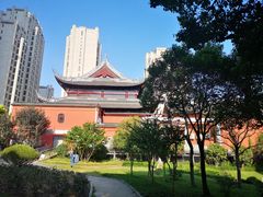 -上海白云观