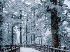 -瓦屋山景区