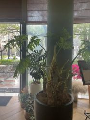 -娇玫荟SPA