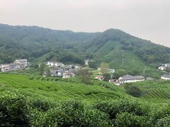 -龙井壹号·茶缘山景宴(龙井村店)