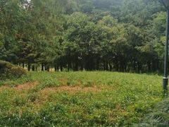 -长广溪湿地公园