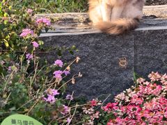-云溪植物园