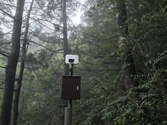 -秦岭天竺山生态文化旅游景区