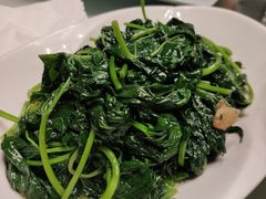 -广东道至正餐厅(区庄店)