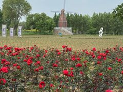 -渔岛海洋度假区