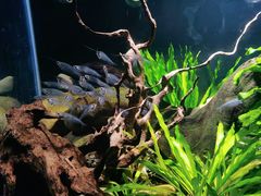 -太平洋海底世界