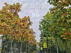 -西安汉城湖景区