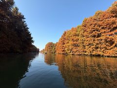 -上海海湾国家森林公园