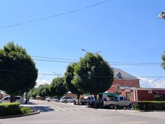 -特克斯八卦城