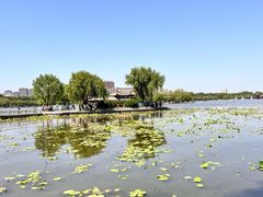 -济南大明湖景区