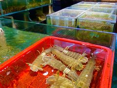 -阳江餐厅·30年老字号·粤菜海鲜大排档