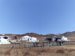 -乌兰布统景区-白桦林