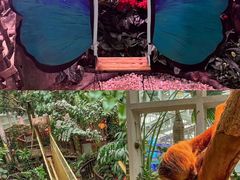 -正佳雨林生态植物园