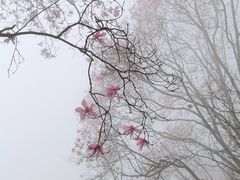 -九皇山景区