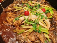 -老板恋上鱼(印象城店)