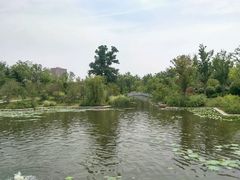 android_upload_pic-青岛国学公园