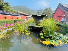 -潭柘寺景区
