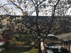 -上海虹桥宾馆味翠餐厅