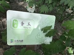 -仁和公园(顺义区)