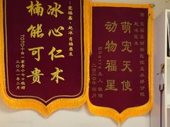 -宠福鑫动物医院(立水桥分院)