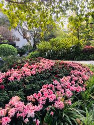 点击看大图 -莲生母婴月子中心(清水河公园店)