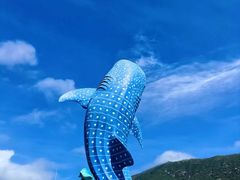 -珠海长隆海洋王国