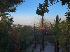 -杭州半山国家森林公园