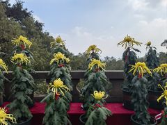 -南山植物园