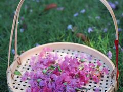 -杭州城北体育公园